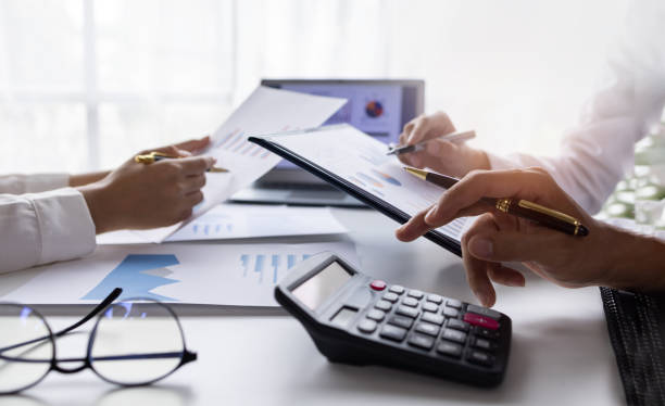 Professional CPA Services